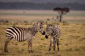 072 Masai Mara